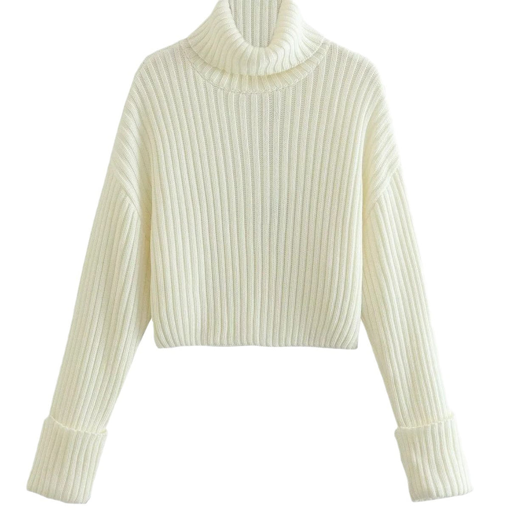 Striped Short Turtleneck Sweater