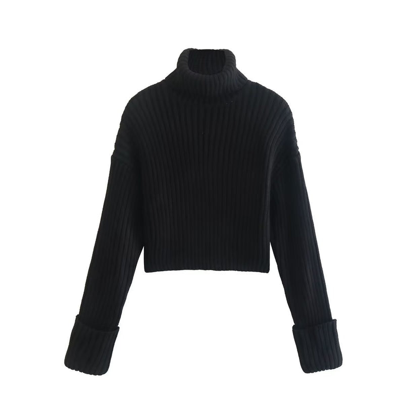 Striped Short Turtleneck Sweater